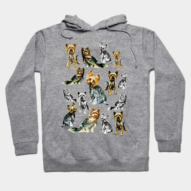 yorkshire terrier Hoodie by VicaVeresk